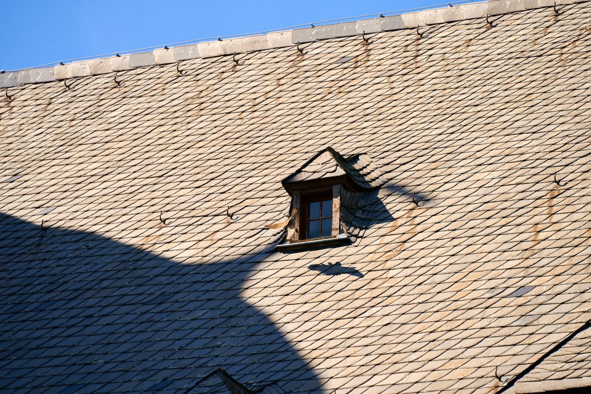 Turmfalken im Mai 2020 von Lina Loos